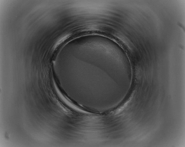 X0000097780826200803071347