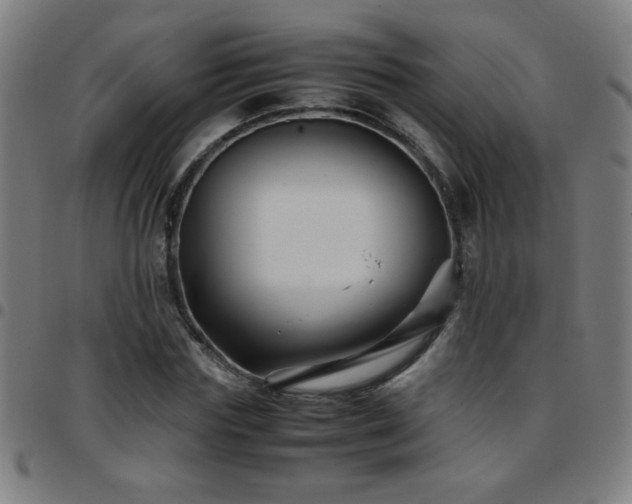 X0000097780827200803071347