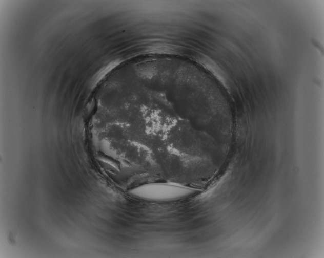 X0000097780829200803071347