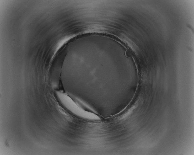 X0000097780830200803071347