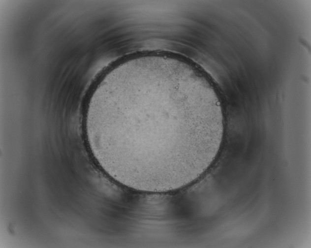 X0000097780832200803071347