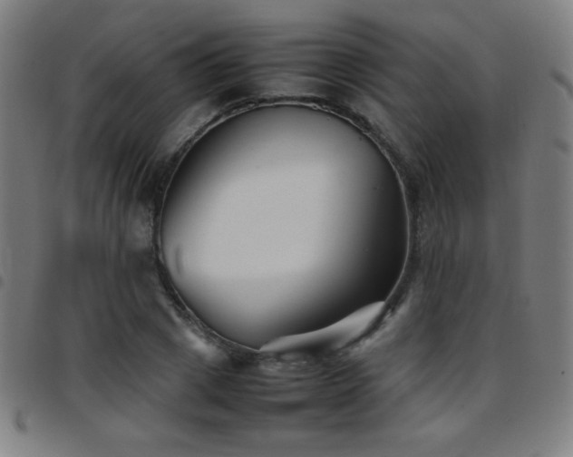 X0000097780833200803071347