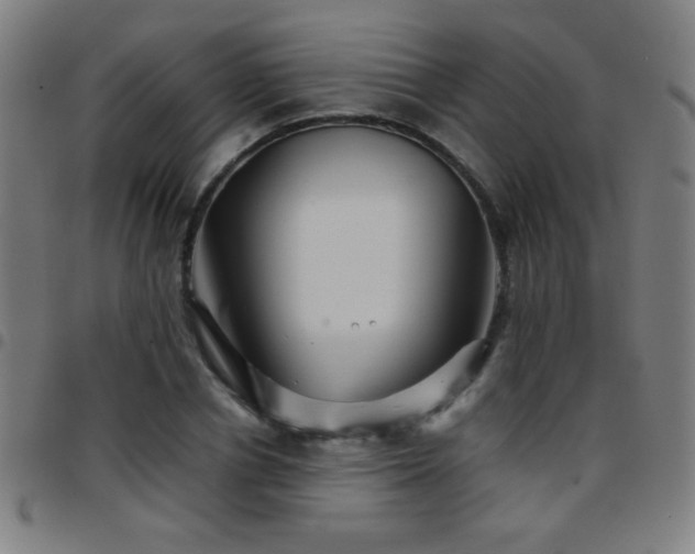 X0000097780834200803071347