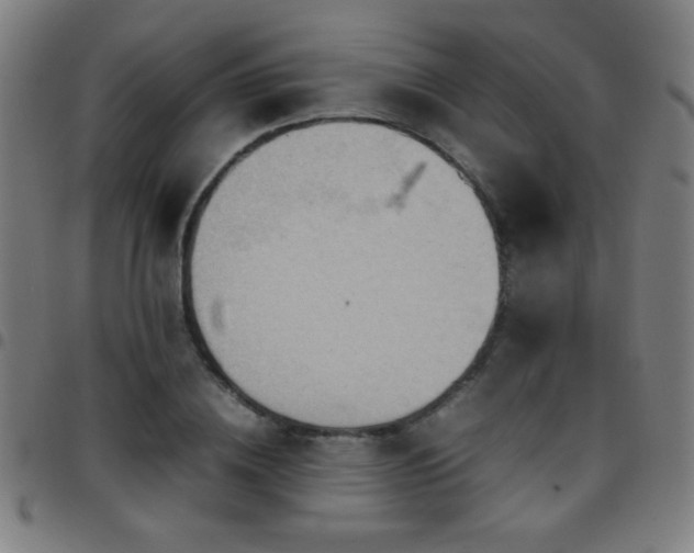 X0000097780836200803071347