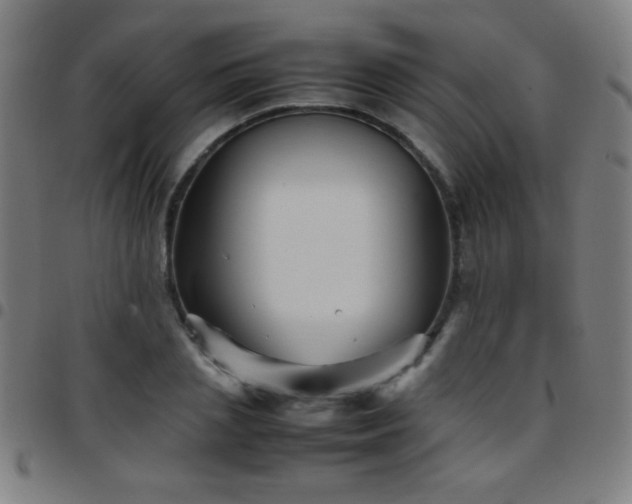 X0000097780837200803071347