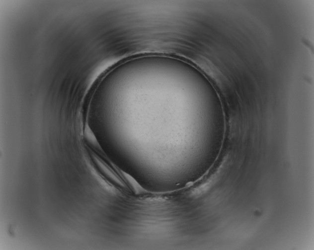 X0000097780838200803071347
