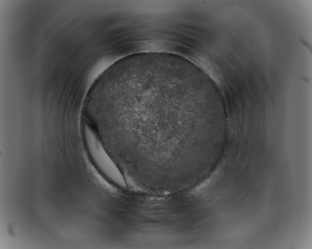 X0000097780839200803071347