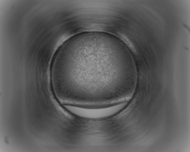 X0000097780840200803071347