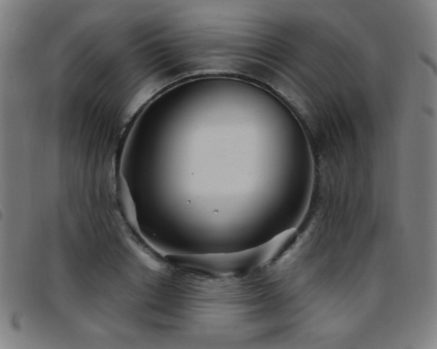 X0000097780842200803071347