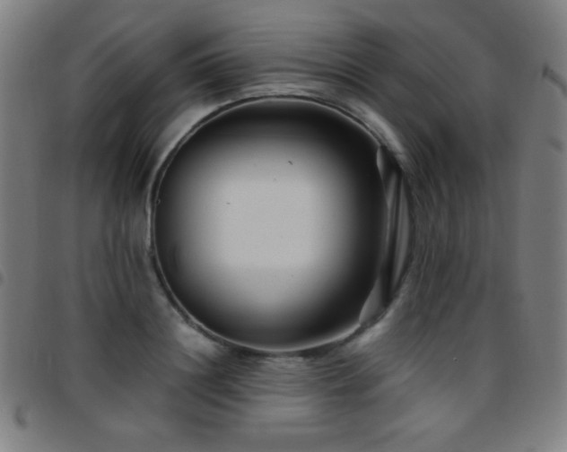 X0000097780844200803071347