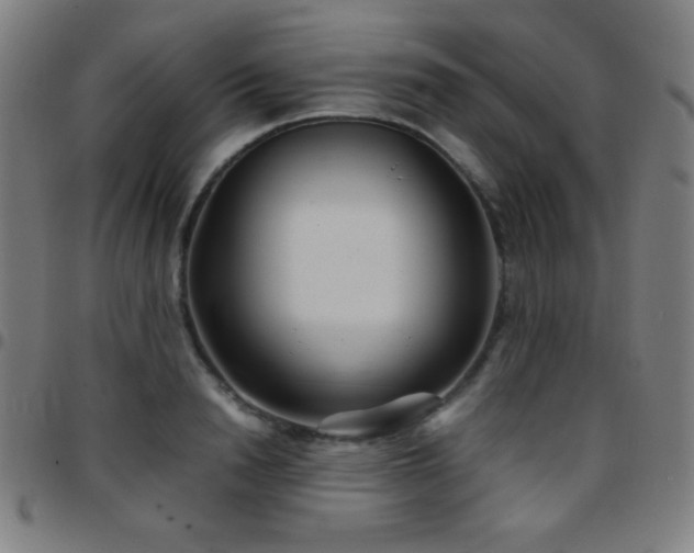 X0000097780846200803071347