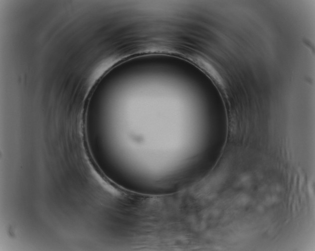 X0000097780847200803071347
