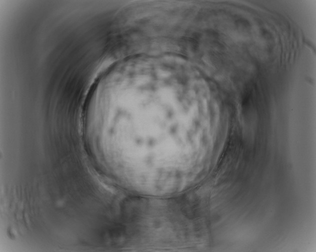 X0000097780848200803071347