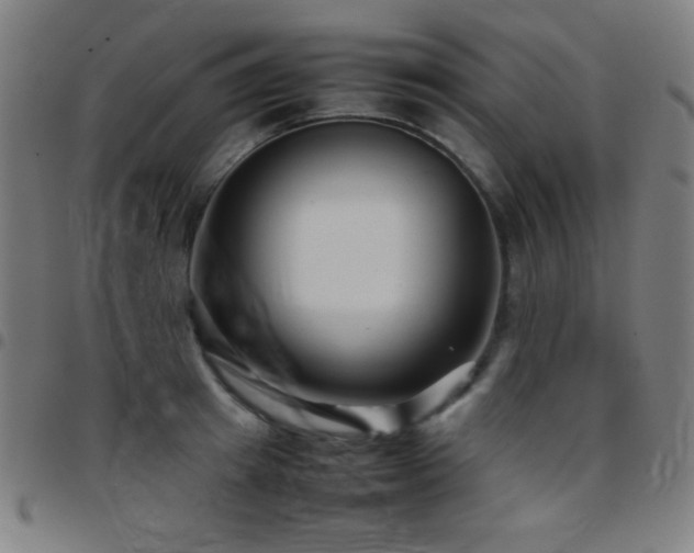 X0000097780849200803071347