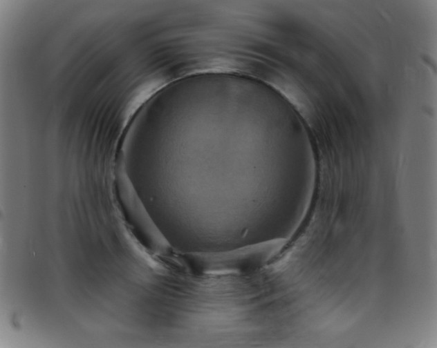 X0000097780850200803071347