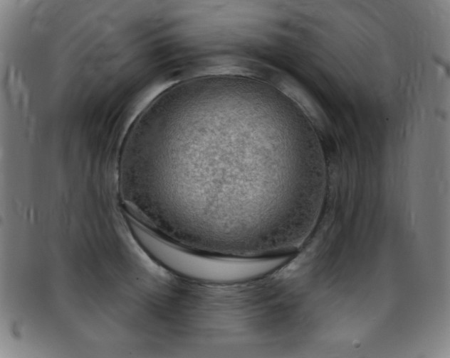 X0000097780852200803071348