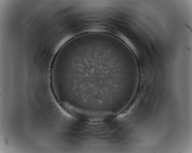 X0000097780853200803071348