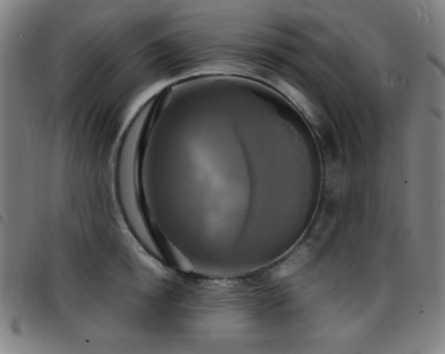 X0000097780854200803071348