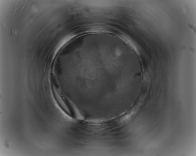 X0000097780855200803071348