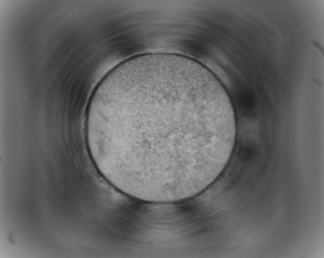 X0000097780856200803071348