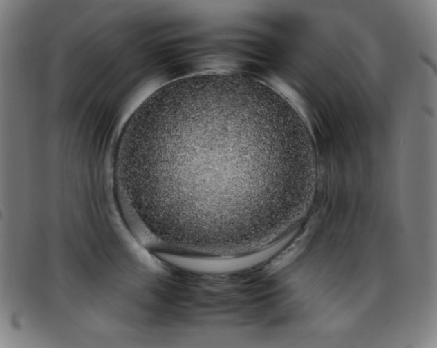 X0000097780859200803071348