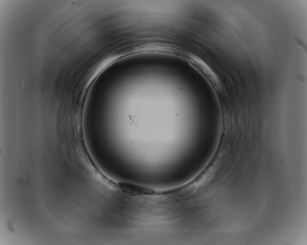 X0000097780860200803071348