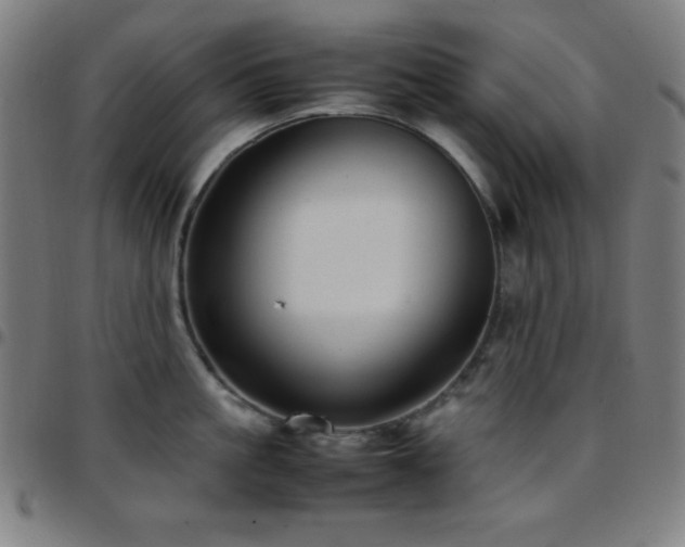 X0000097780861200803071348
