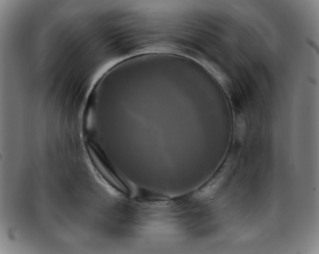 X0000097780862200803071348