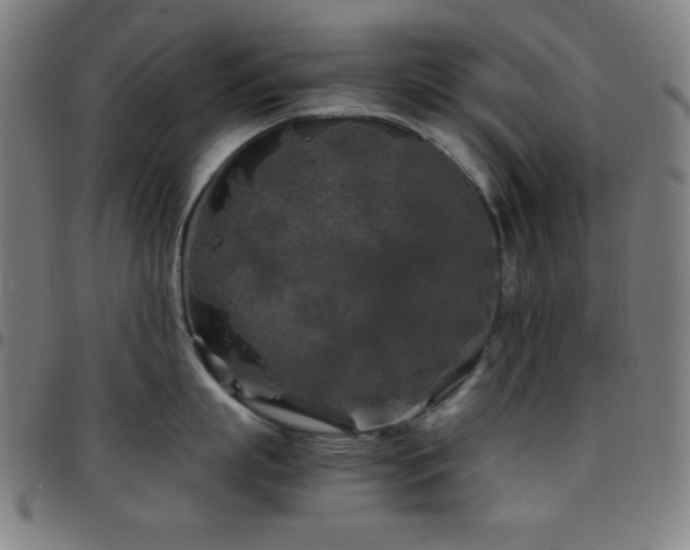 X0000097780863200803071348