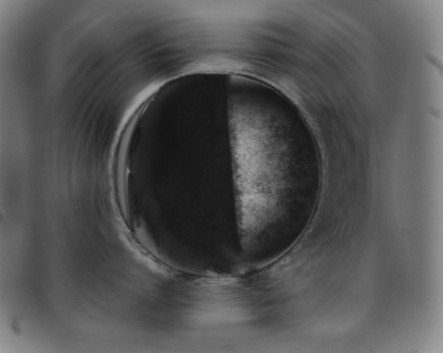 X0000097780864200803071348