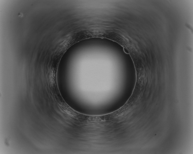 X0000097780866200803071347
