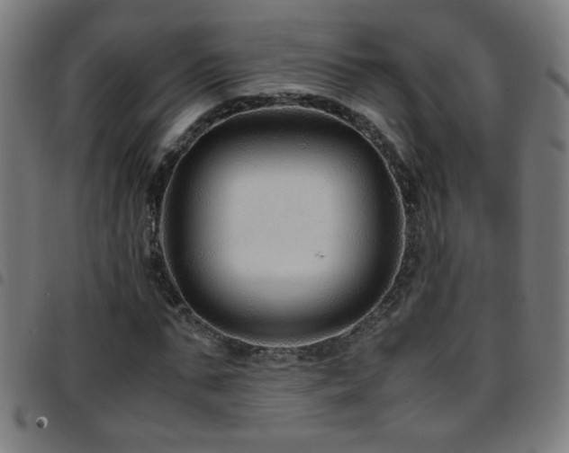 X0000097780871200803071347