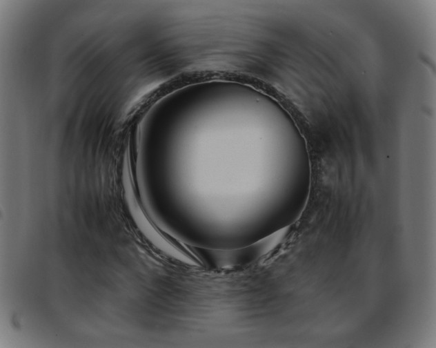 X0000097780872200803071347