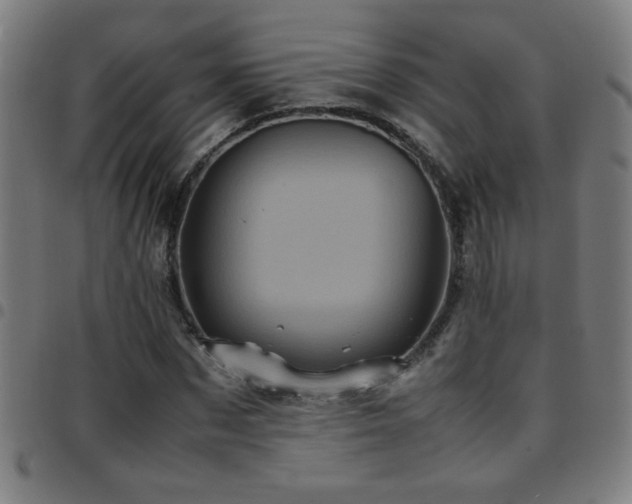 X0000097780873200803071347