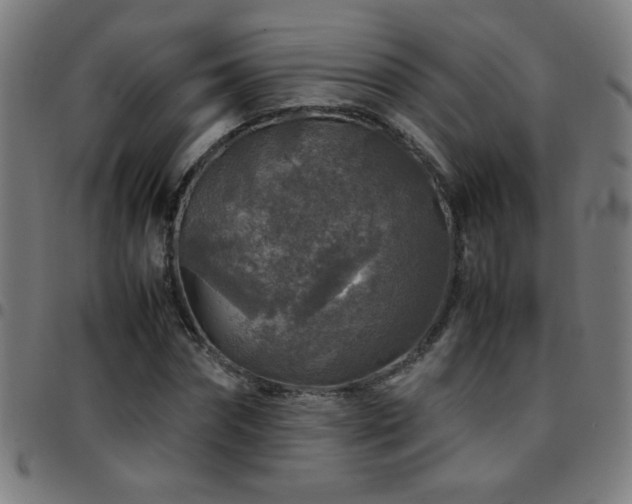 X0000097780874200803071347