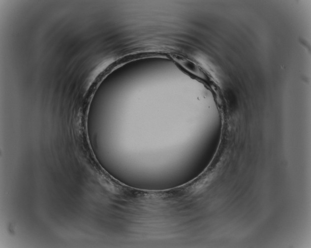 X0000097780875200803071347