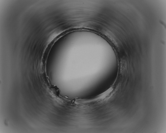 X0000097780876200803071347