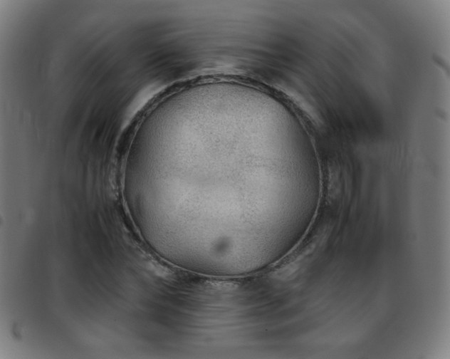 X0000097780878200803071347