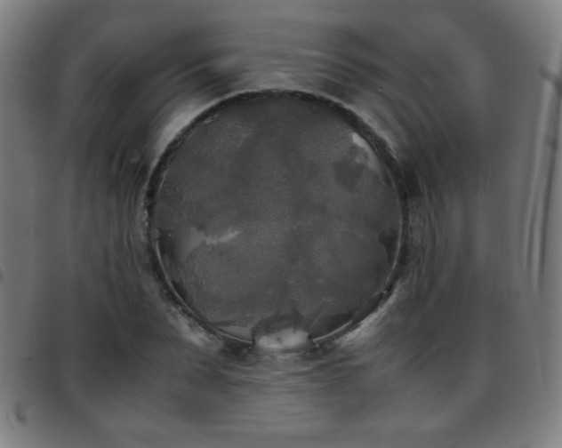 X0000097780879200803071347