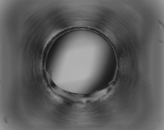 X0000097780880200803071347