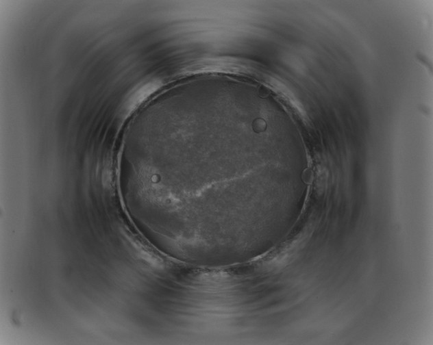 X0000097780882200803071347