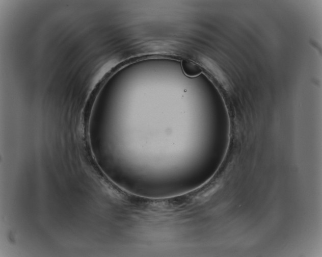 X0000097780883200803071347