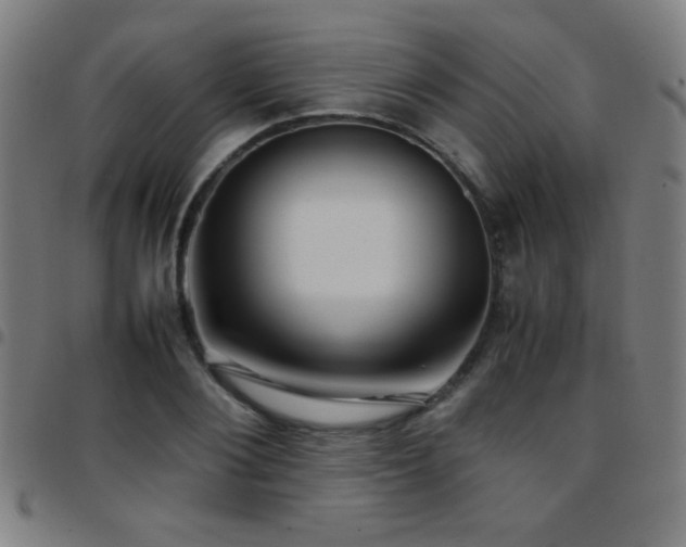 X0000097780884200803071347