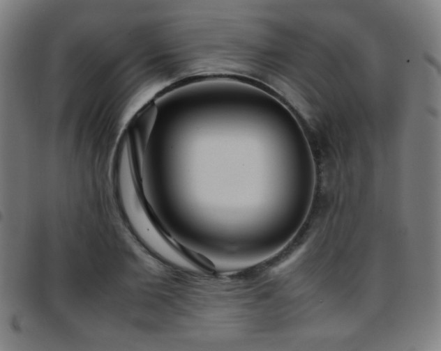 X0000097780885200803071347