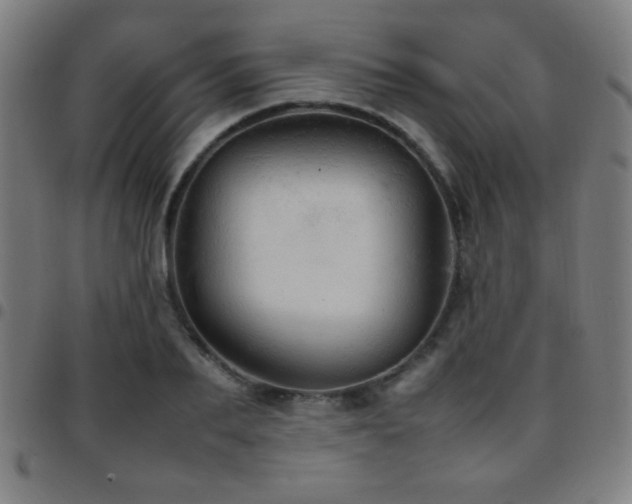 X0000097780887200803071347
