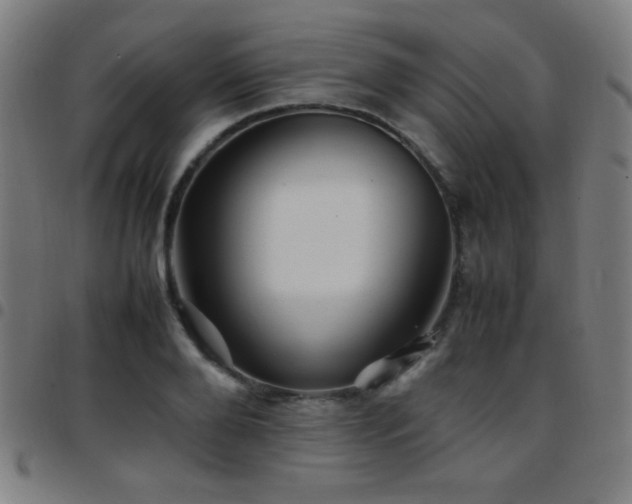 X0000097780888200803071347