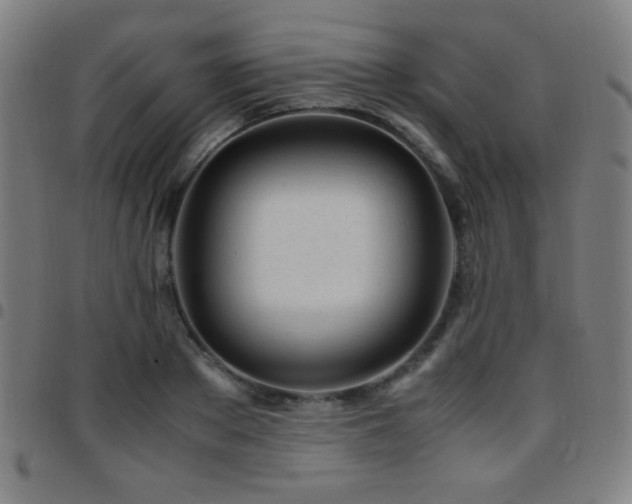 X0000097780889200803071347