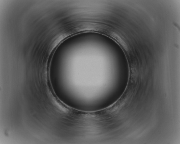 X0000097780890200803071347