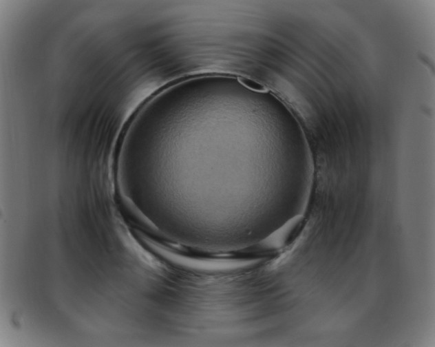 X0000097780892200803071347