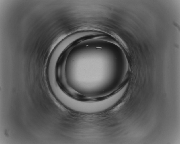 X0000097780893200803071347